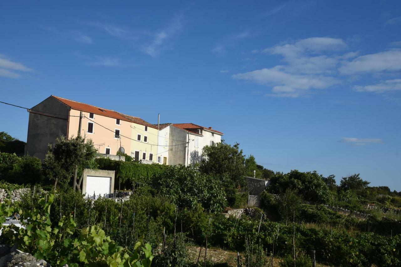Accommodation Lily Vrana  Dış mekan fotoğraf